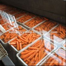 carotte jaune à vendre